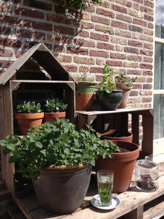 Hof Van Renesse Noordwelle Esterno foto