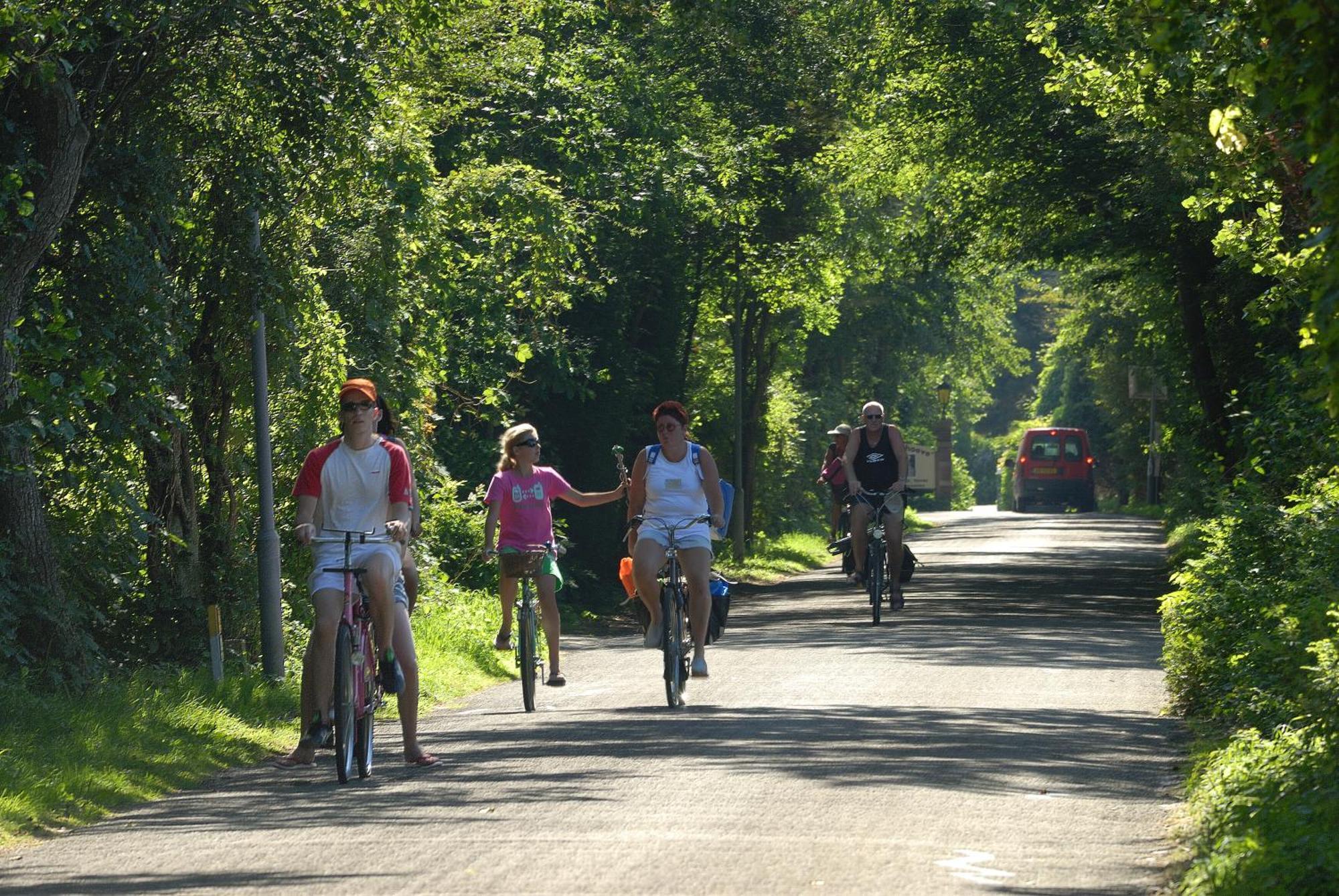 Hof Van Renesse Noordwelle Esterno foto